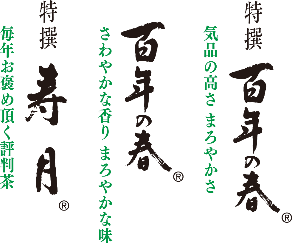 特撰百年の春　百年の春　特撰寿月