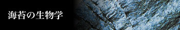海苔の生物学