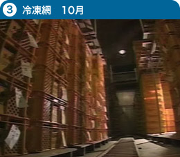 冷凍網 10月