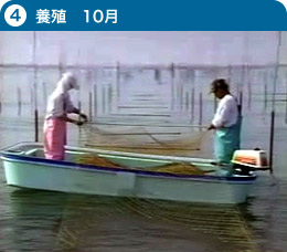 養殖　10月