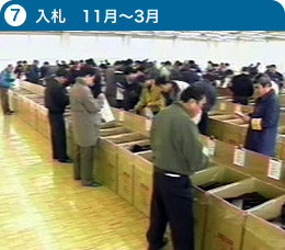 入札 11月~3月