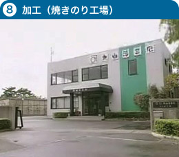 加工（焼きのり工場）