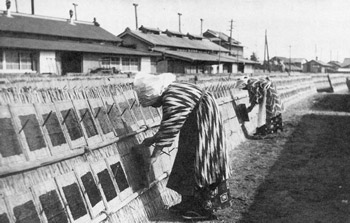 ガンや生活習慣病の予防効果も