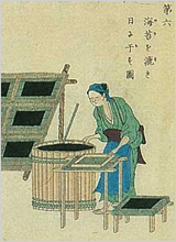 海苔付け・海苔乾し